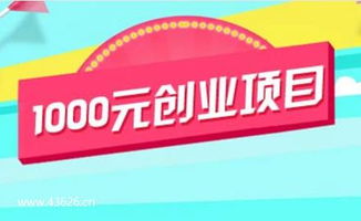 1000元創業項目 2019年1000元創業投資做什么好